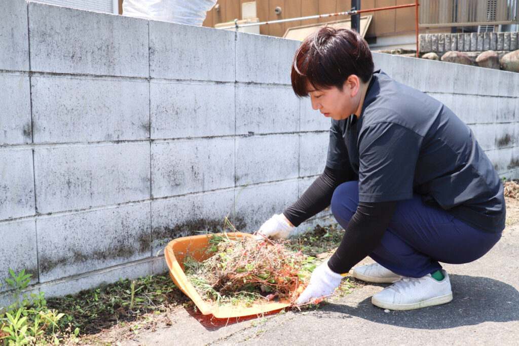 庭の手入れの写真